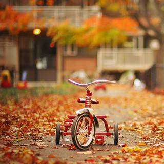 Tricycle wallpaper