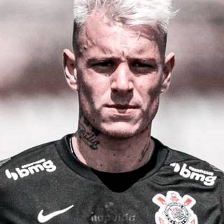 Roger Guedes wallpaper