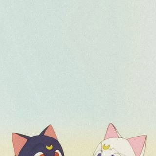 Sailor Moon Artemis wallpaper