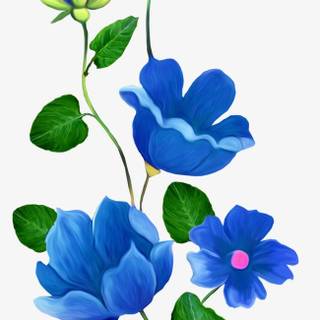 Flower clipart wallpaper