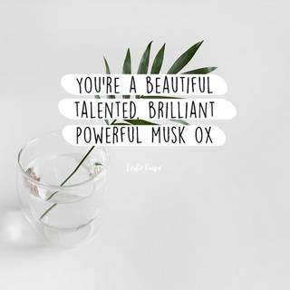 Leslie Knope wallpaper