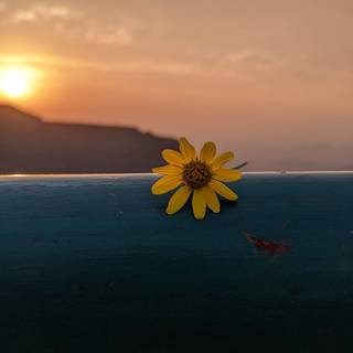 Cool vintage phone wallpaper