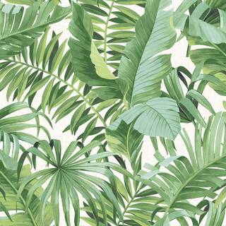 Jungle leaves wallpaper