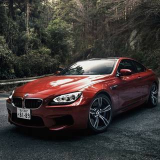 Forest road with car wallpaper