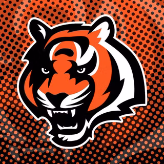 NFL Bengals wallpaper