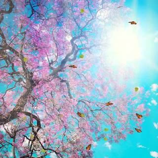 Aesthetic spring vintage wallpaper