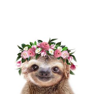 Sloth and koala wallpaper