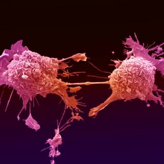 Cancer cell wallpaper