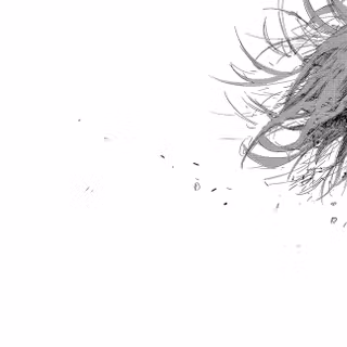 Black manga desktop wallpaper
