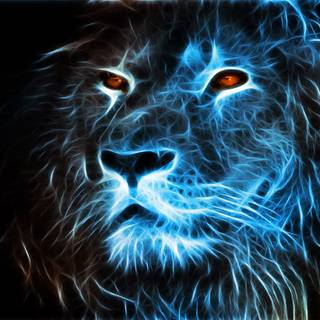 Dangerous lion wallpaper