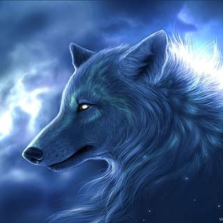 Color wolf wallpaper