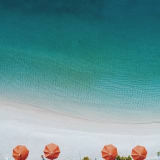 Summer umbrellas wallpaper