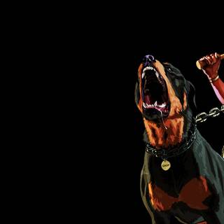 GTA V Chop wallpaper