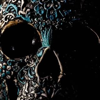 Skeleton skull wallpaper