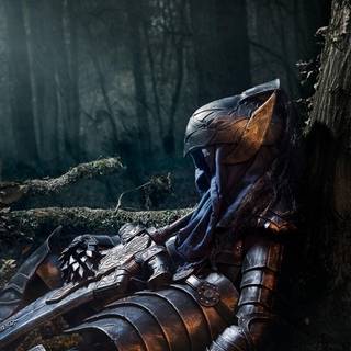 Dark Souls iPhone 13 Pro Max 4k wallpaper