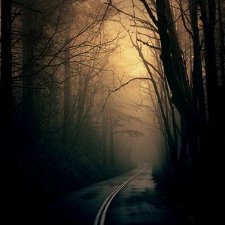 Dark style wallpaper