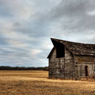 Vintage house wallpaper