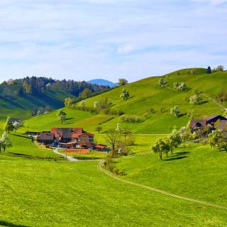 Spring farmland wallpaper