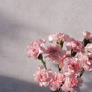 Delicate flowers wallpaper