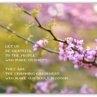 Positive spring quotes wallpaper