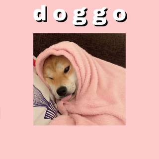 Uwu dogs wallpaper
