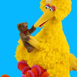 Sesame Street Big Bird wallpaper