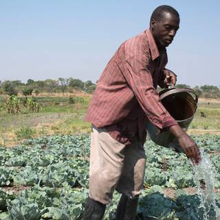 Small scale farming wallpaper