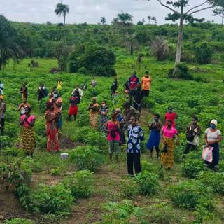 Small scale farming wallpaper