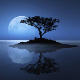 Cool blue 4k wallpaper