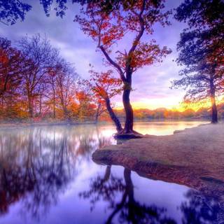 Picturesque wallpaper