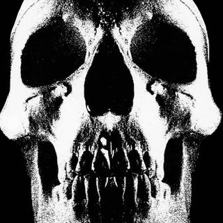 Rock skull wallpaper