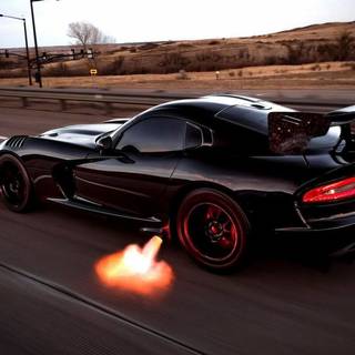 Calvo Viper wallpaper