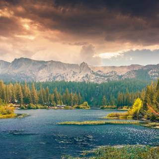 Camp desktop wallpaper