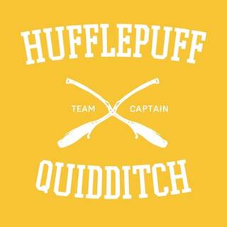 Hufflepuff Quidditch wallpaper