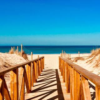 Sunny day portrait wallpaper