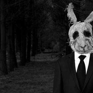 Mask rabbit wallpaper
