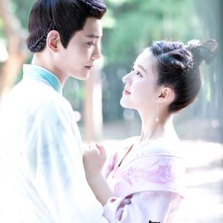 The Romance of Tiger and Rose wallpaper