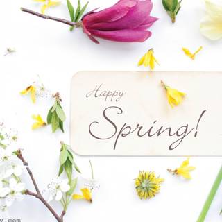 Happy spring day wallpaper