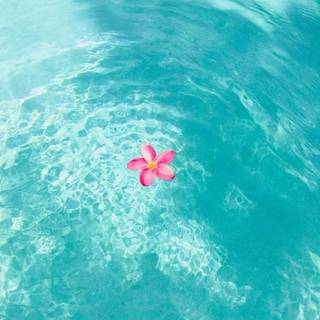 Aesthetic summer water wallpaper