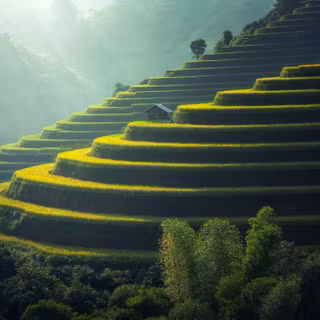 Rice terraces wallpaper
