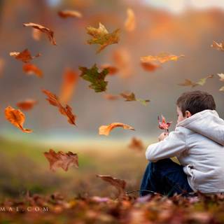 Boy waiting wallpaper