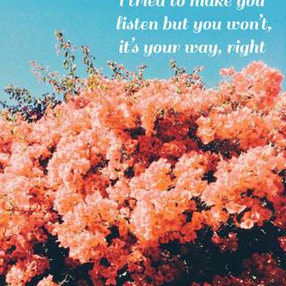 Melanie Martinez lyrics wallpaper