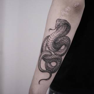 Snake tattoo wallpaper