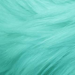 Sea foam green wallpaper