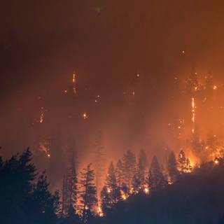 Disaster management wallpaper