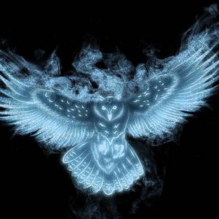 Blue owl wallpaper