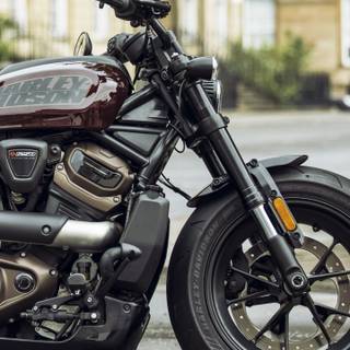 Harley Davidson 2022 wallpaper