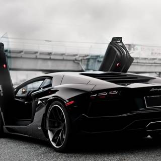 Lamborghini portrait wallpaper