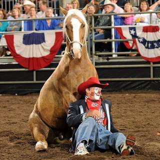 Rodeo clown wallpaper