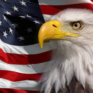 American flag with eagle wallpaper